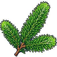Christmas Pine
