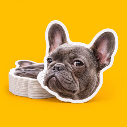 Custom Photo Stickers TheFreshener.com