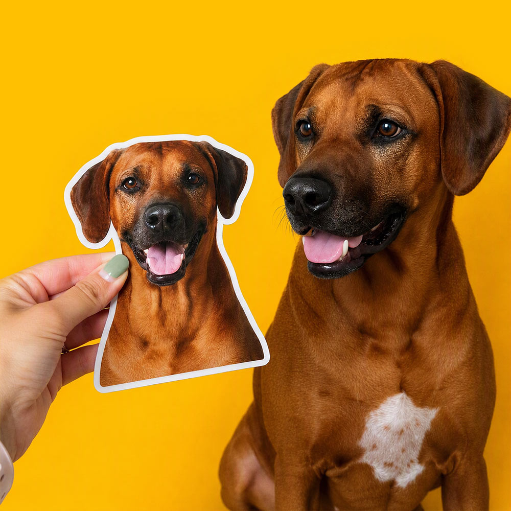 Custom Photo Magnets TheFreshener.com