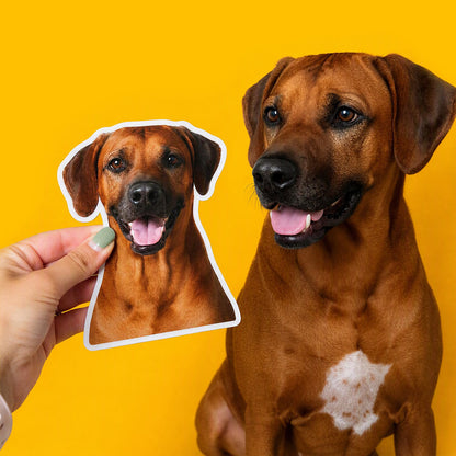 Custom Photo Magnets TheFreshener.com