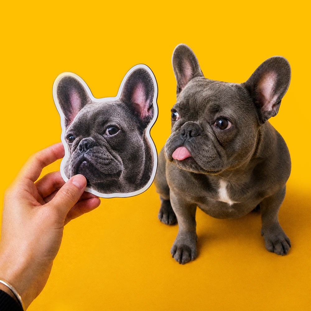 Custom Photo Magnets TheFreshener.com